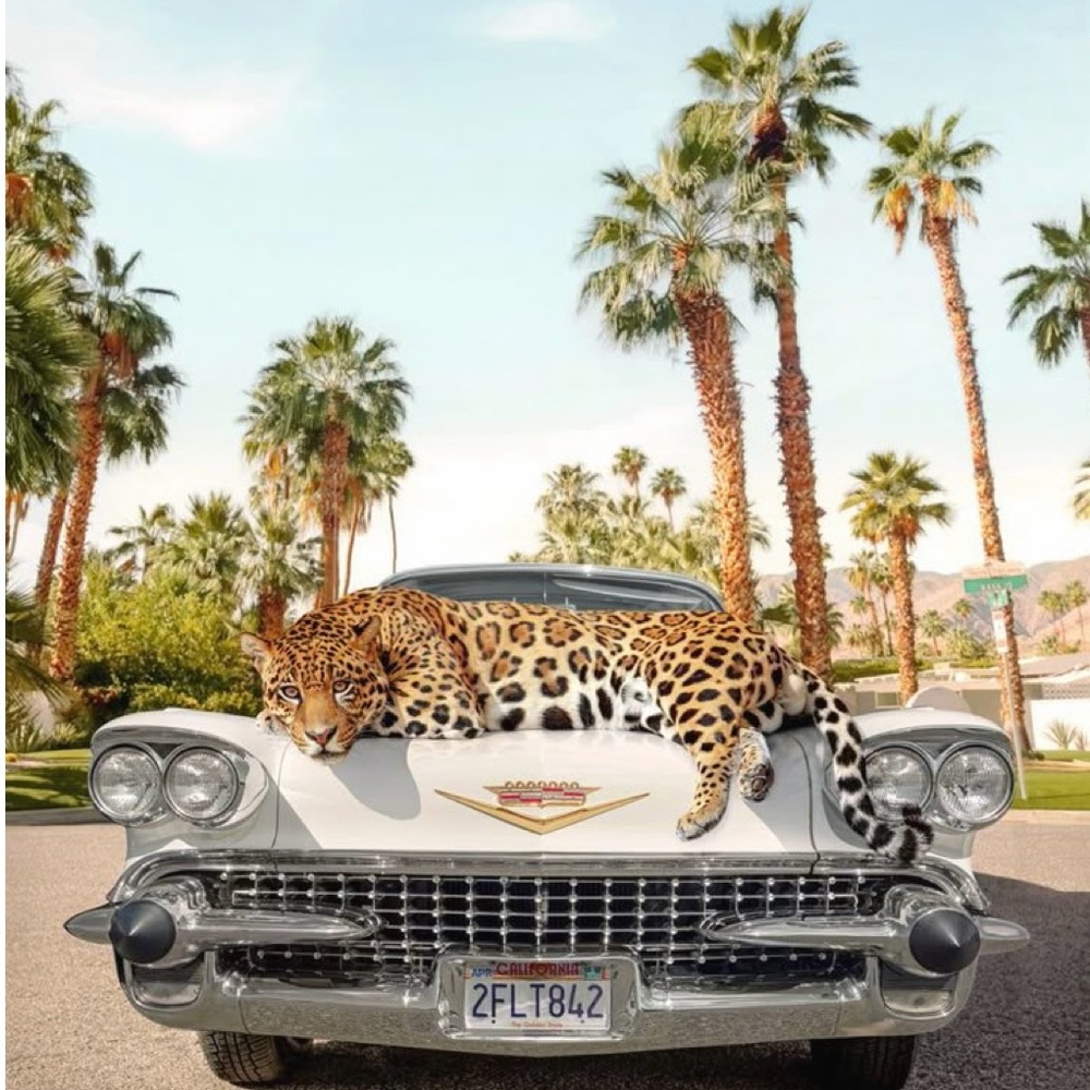 Join me live low starts for luxury bags, accessories, and fun!